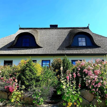 Insel Landhaus Bernstein Villa Gager Ngoại thất bức ảnh