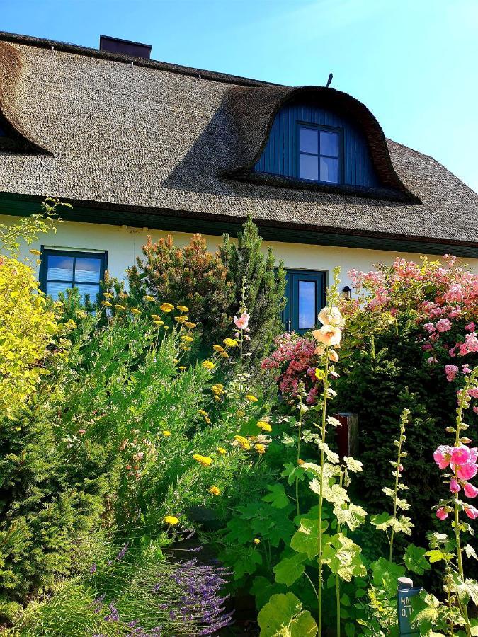 Insel Landhaus Bernstein Villa Gager Ngoại thất bức ảnh